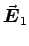 $\Vec{E}_1$