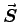 $\Vec{S}$