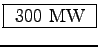\fbox{ 300 MW }