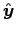 $\Hat{y}$
